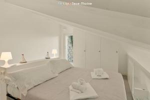 Blue Marine, TerreMarine