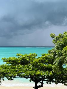 Sazani Beach Lodge and Tidal Lounge