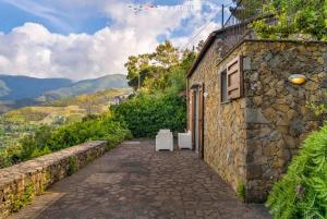 Blue Marine, TerreMarine