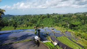 GJ Guest House Sidemen