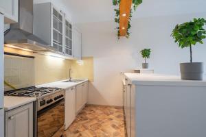 Central comfy and cute apartment