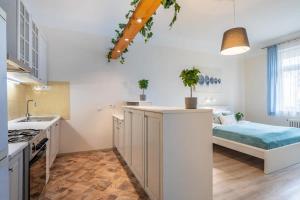 Central comfy and cute apartment