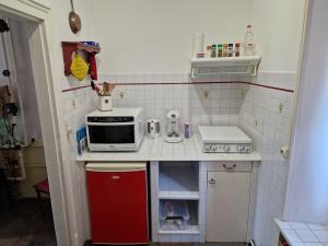 Romantic 19th century house with large garden and BBQ