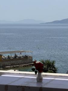 Beachside Coral Nest