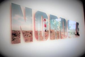 Möwenweg 2b - Nr 9 Silbermöwe