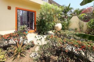 Casa Tortuga 3BR 2BA private pool roof terrace with view New Listing