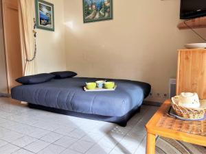 Appartements Appartement Climatise avec Terrasse - 100m de la Plage - 4 couchages - Parking et Menage Inclus - FR-1-251-444 : photos des chambres