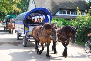 Ferienwohnung auf Hiddensee im Ort Kloster