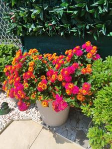 Baie des anges appartement Bis