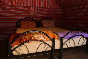 Adventure Nights Camp