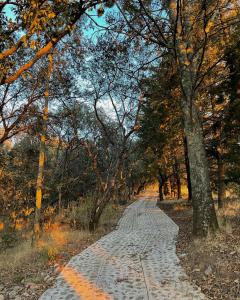 Rancho los Olivos Amealco