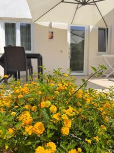 Galaxy Rooms Tropea