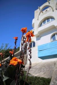 Studio with Sea View room in Casa Vacanze Elianto