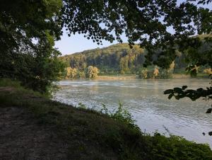 Im Grünen in Puchenau