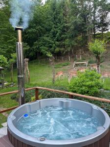 Markowa Chata Bieszczady