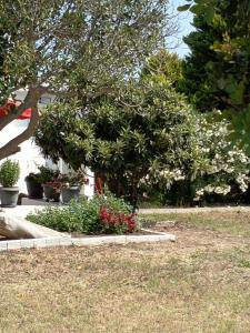 Kosaris Cottage