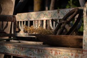 La Colibe, cătun arhaic ecologic