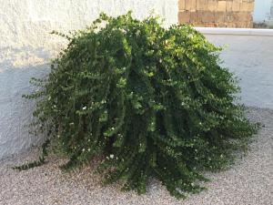 La casa dalle persiane blu