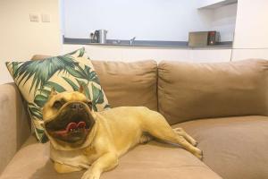 Pet-friendly 1BR Apt sleeps 4 in BMH Centre with Parking