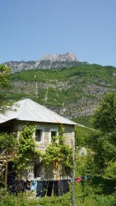 Motina River Guesthouse