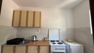 Family apartment Krivokapic