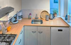 Gorgeous Home In Lemmer With Wifi - Hfr487