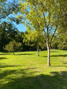 Campings Camping L-imprevu : photos des chambres