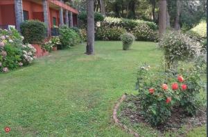 Residence Rapallo Holidays