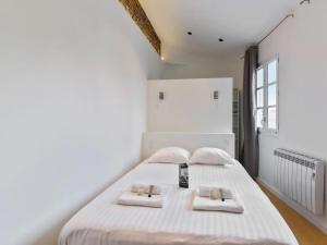 Appartements Magnifique Appartement Place du Capitole : photos des chambres