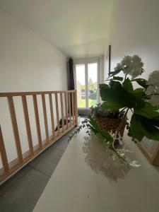 Le Roof top Béthunois - Appart hôtel duplex centre -confort