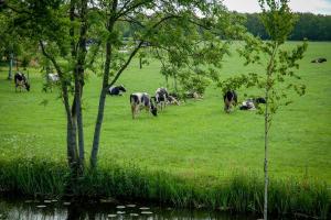 Appartement Hoornsterzwaag, landelijk gelegen