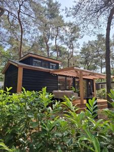 Thuisje van Hout, tiny house in Drentse natuur