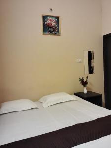 Animesh homestay