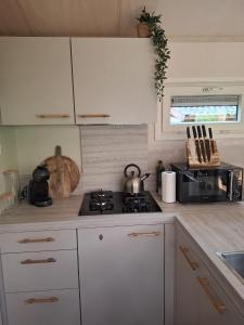 Thuisje van Hout, tiny house in Drentse natuur