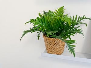 Adamite - Centre Historique - Proche gare - Calme