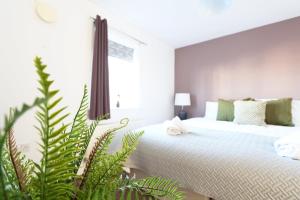 Ipswich-Budget-Central Town Centre- Apartment