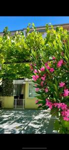 Skenderi Apartment Studio