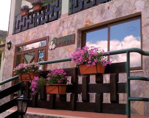 Hotel Alisma
