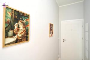 MMRent Kitty Cat Room