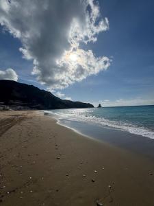 Alemar Collective Lavender studio by the sea