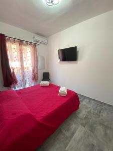 Affittacamere Pippitta House img23