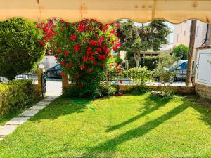 Seaside Villa Clio