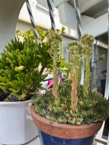 Appartements Pause relax a Mont de Marsan : photos des chambres