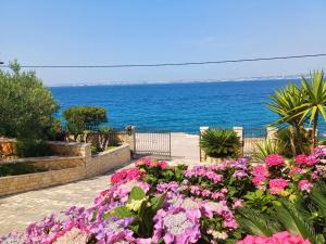 Oceanview Prestige