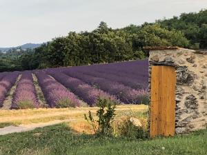Maisons de vacances Mas du 18e siecle au calme entoure de champs de lavandes : photos des chambres