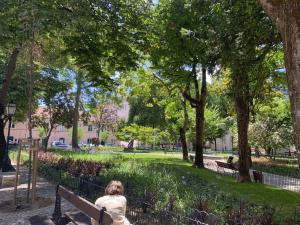 LV Premier Amoreiras AM3