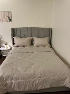 استديو أنيق بأثاث جميل وكلاسيك