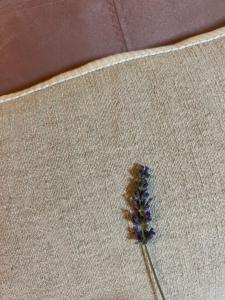 Appartements Maison Martens Villa & Appartement : photos des chambres