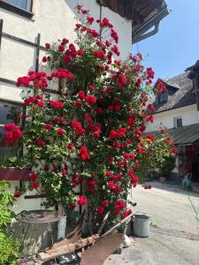 Wengerwirt zur Laube rustical "Blue"