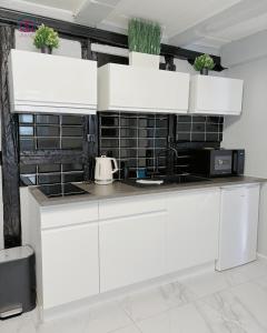 Appartements A l-Alsacienne ! Experience alsacienne a quelques minutes de Strasbourg : photos des chambres